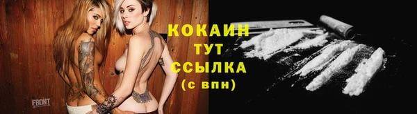 ешки Бородино