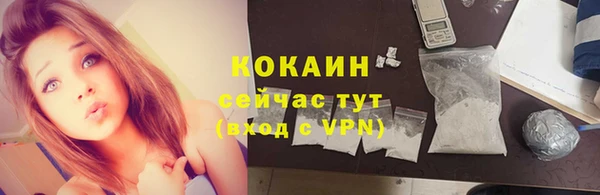 PSILOCYBIN Богданович