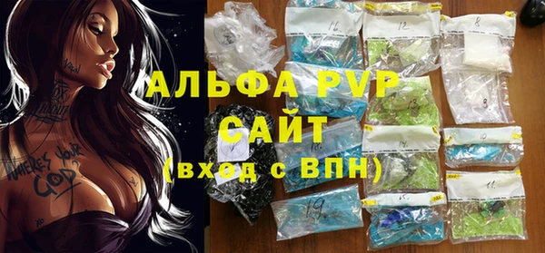 ешки Бородино