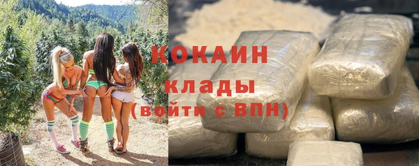 PSILOCYBIN Богданович