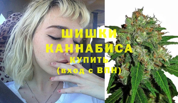 Альфа ПВП Богородицк