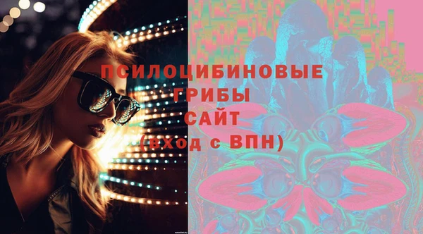 PSILOCYBIN Богданович