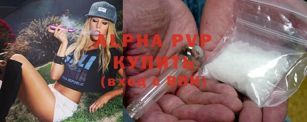 PSILOCYBIN Богданович
