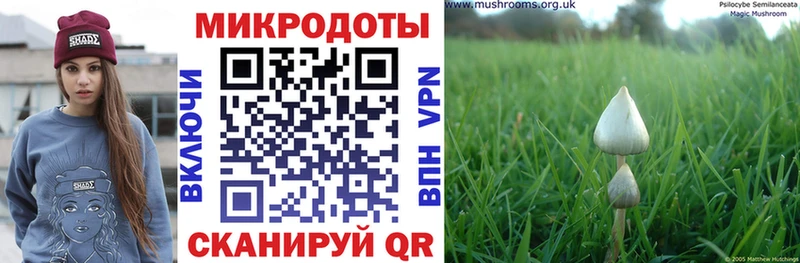 Псилоцибиновые грибы мицелий Обь