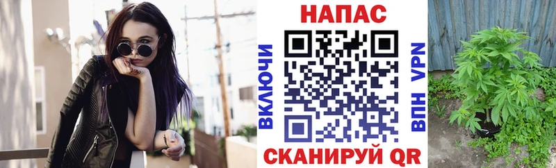 МАРИХУАНА SATIVA & INDICA  где продают   Обь 